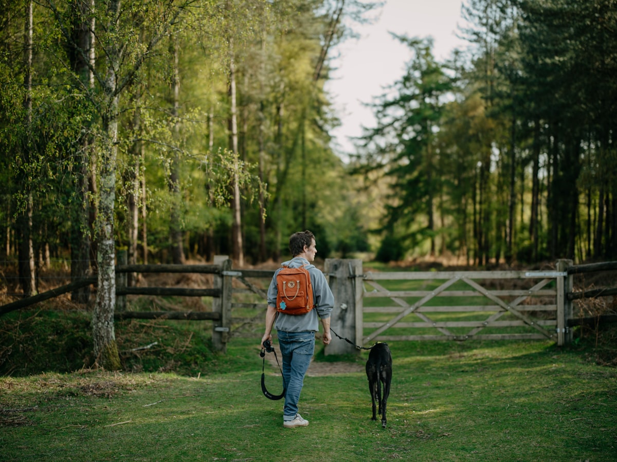 Person walking a dog on a leash in the countryside