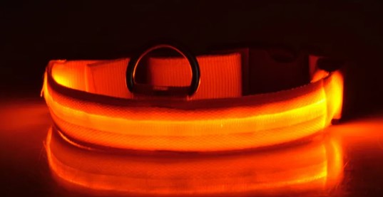 LED Nylon Dog & Cat Collar – Rechargeable Glowing Safety Collar for Night Walks