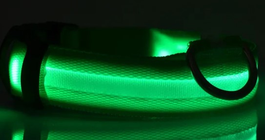 LED Nylon Dog & Cat Collar – Rechargeable Glowing Safety Collar for Night Walks