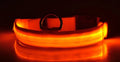 LED Nylon Dog & Cat Collar – Rechargeable Glowing Safety Collar for Night Walks