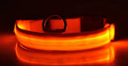 LED Nylon Dog & Cat Collar – Rechargeable Glowing Safety Collar for Night Walks