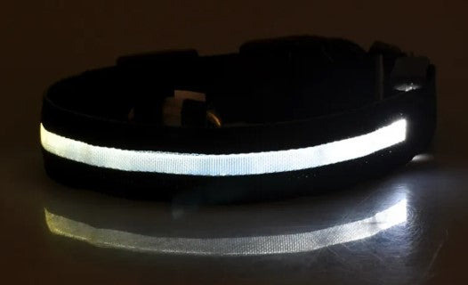 LED Nylon Dog & Cat Collar – Rechargeable Glowing Safety Collar for Night Walks
