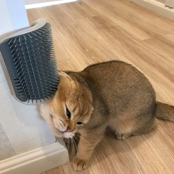 Cat Self-Grooming Corner Brush – Wall-Mounted Massage & Fur Cleaning Scratcher