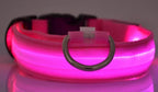 LED Nylon Dog & Cat Collar – Rechargeable Glowing Safety Collar for Night Walks