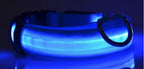 LED Nylon Dog & Cat Collar – Rechargeable Glowing Safety Collar for Night Walks