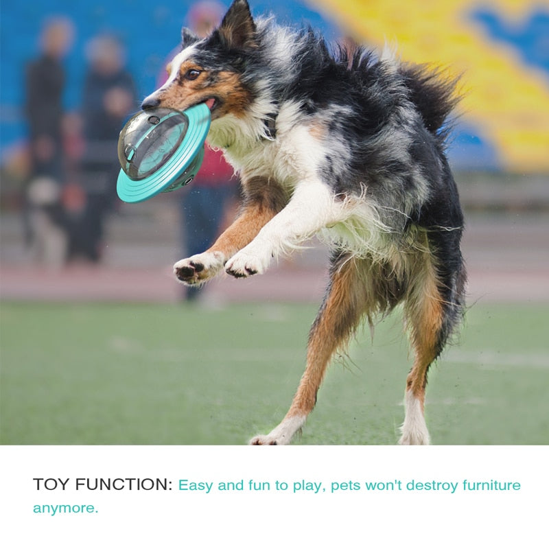 Bite-Resistant Dog Frisbee – Rotating Disc Fetch Toy for Outdoor Play & Training